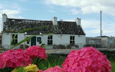 Homestead Cottage