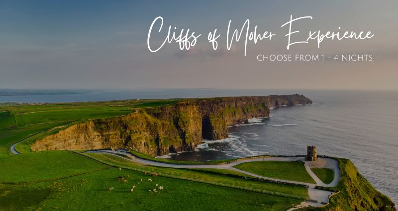 Cliffs of Moher Experience